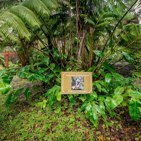 Volcano Mist Cottage