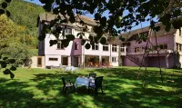 Logis Hotel des Vosges - Mountain View