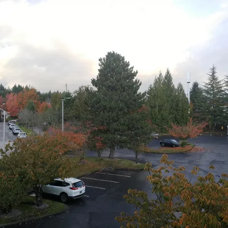 Best Western Plus Parkway Inn