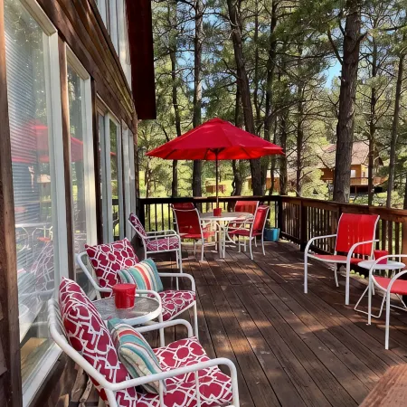 Nestled in the pines on 2 acres, secluded, close-to-nature house. Pet-Friendly!
