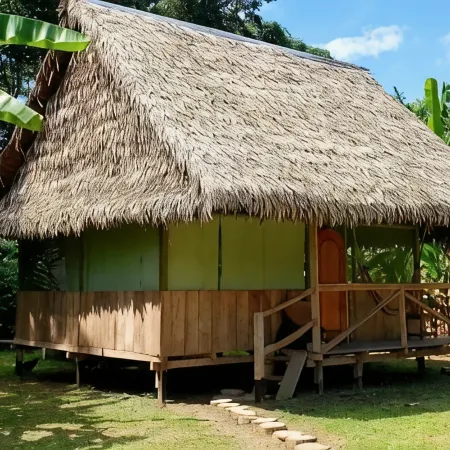 Amazon Tropical Expeditions