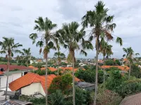 Casa Ateliero Boutique Hotel Canggu - 인 (Inns)