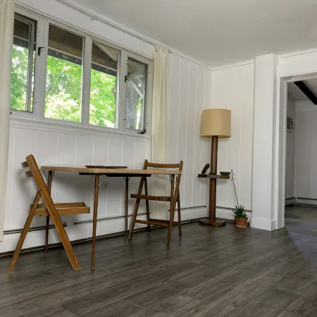 Pet Friendly 1 BR Apartment in Uptown Kingston + Huge Backyard & Full Kitchen