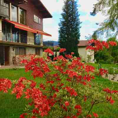 New apartment, superb lake and mountain views. Hotel Exterior