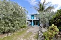Conch Quest - Right on the Beach and Beautiful Atlantic Ocean - Beach