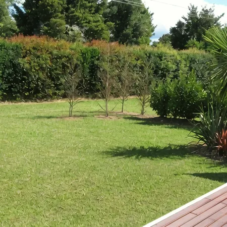 Koru Cottage - Pristine and newly renovated.