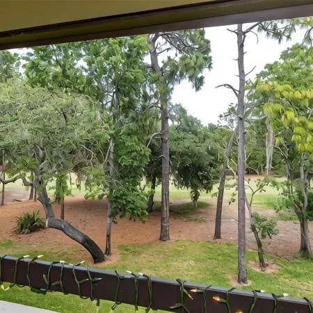 Whispering Pines Owl Retreat - Newly Renovated Large 1Br - Innisbrook Golf View