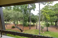 Whispering Pines Owl Retreat - Newly Renovated Large 1Br - Innisbrook Golf View - 3 stjerner