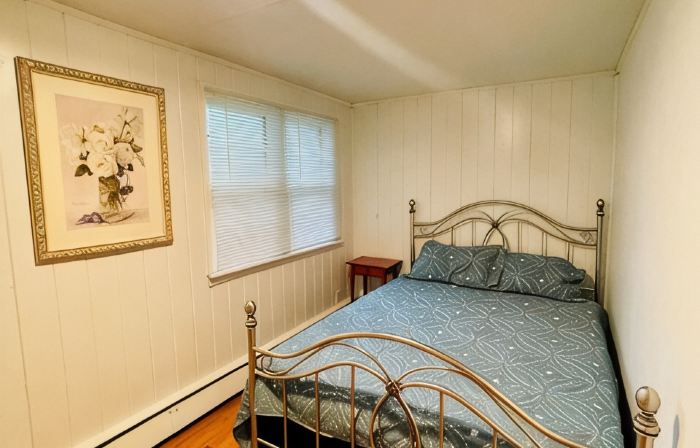 1 acre lake front 4 bedroom home on Buffalo Lake close to Downtown shops.