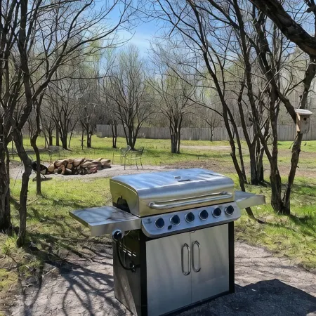 Forest Side Solar Powered Cabin with Nature Trails