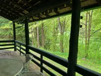 Original Log Cabin on 3 Private Acres - Chalets
