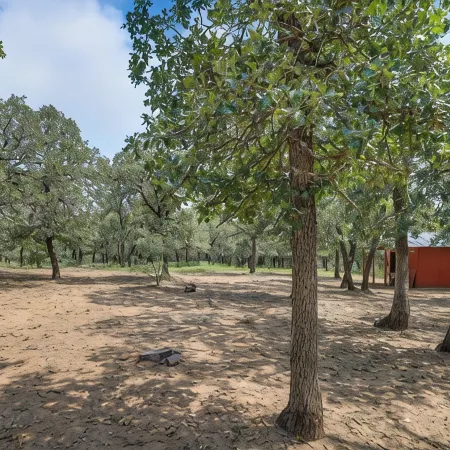 country living in a city. very close to DFW airport. in the heart of town