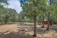 country living in a city. very close to DFW airport. in the heart of town - Wi-Fi
