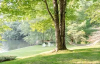 Lakefront Retreat in Quite Cove on Luxurious Lake Toxaway - Homestays