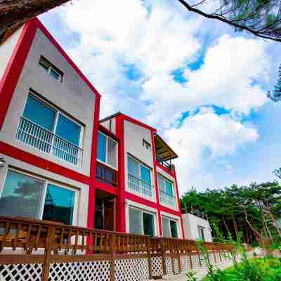 Danyang Namhangangsolbat Pension Hotel Exterior