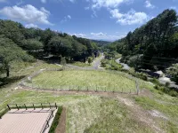 Angel Forest Nakaizu - 2星級