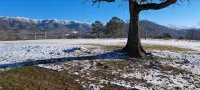 Luxurious cabin, mountain views near the  Smokies! Pet and family friendly! - Chalets