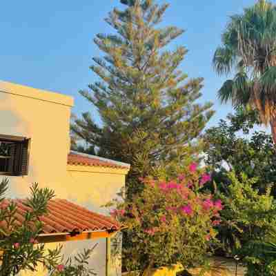 Rose of Crete Hotel Exterior