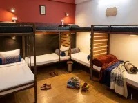 Hotel Olive Tree - بيوت الشباب