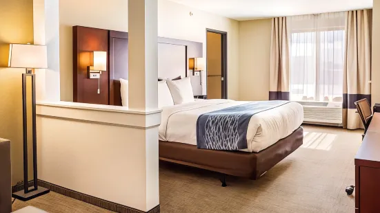 Comfort Inn & Suites Niagara Falls Blvd USA