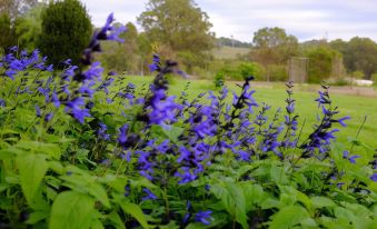 Bryn Glas Farm Stay