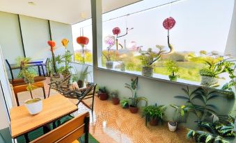 a well - organized indoor garden with potted plants and various potted plants on the balcony , creating a serene and inviting atmosphere at Memory Homestay Hue