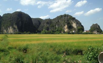 Tam Coc Mountain View Homestay