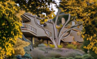 Carmel Valley Ranch, in The Unbound Collection by Hyatt