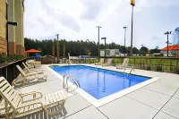 Hampton Inn by Hilton Moss Point Pascagoula - Pools