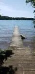 Charming Vintage Cabin on Beautiful Walloon Lake