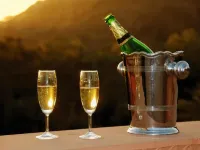 Palace Hotel - Bikaner House Hotel a Mount Abu
