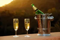 Palace Hotel - Bikaner House Hotels in Sirohi