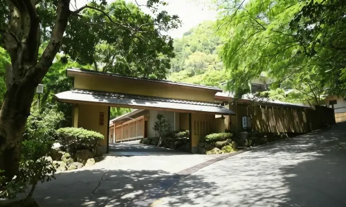 Oku Yugawara Tsubaki