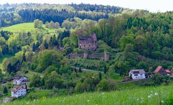 Hotel Grüner Baum Mit Restaurant & Wellness