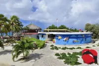Chogogo Dive & Beach Resort Curacao - Parkplatz