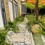 Pine Forest House Dalat