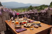 Vinifera Vineyards Hotel