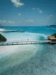 Bibee Surf