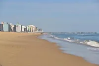 Dolphin Beach condo with indoor pool, ocean views, steps to the beach