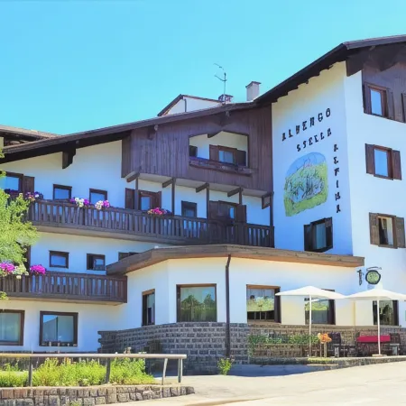 Hotel Stella Alpina Hotels in Bellamonte