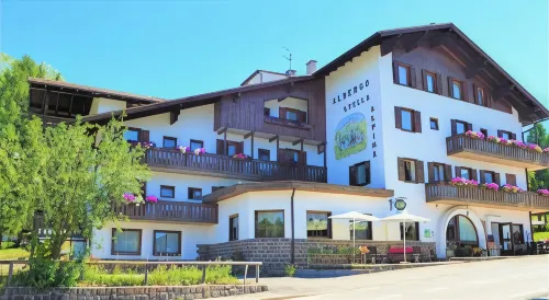 Hotel Stella Alpina Hotels in Bellamonte