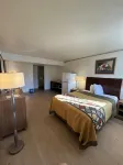 Studio Apartments