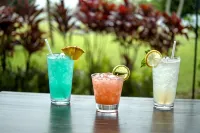 Grand Naniloa Hotel, a Doubletree by Hilton - bar