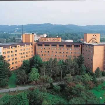Hotel Daiheigen