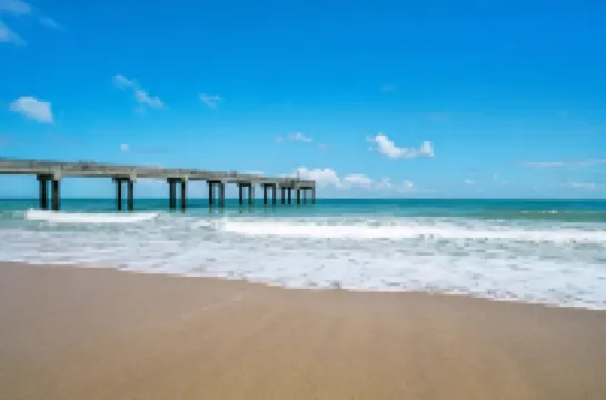 The Local - St. Augustine