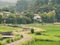 Pension Ippekiko
