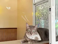 Sakaeogarden Hotel Hotel di Sa Kaeo