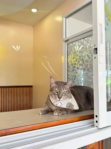 รูปภาพของโรงแรมสระแก้วการ์เด้นท์