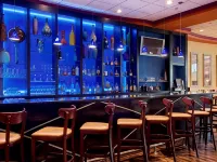 Hilton Cincinnati Airport - bar