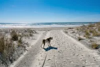 Family-Friendly Beach Home | Steps to Beach & Bay | Porch, Yard, Garage - de playa